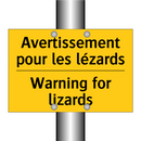 Avertissement pour les lézards - Warning for lizards