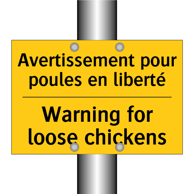 Avertissement pour poules en liberté /.../ - Warning for loose chickens