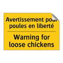Avertissement pour poules en liberté /.../ - Warning for loose chickens