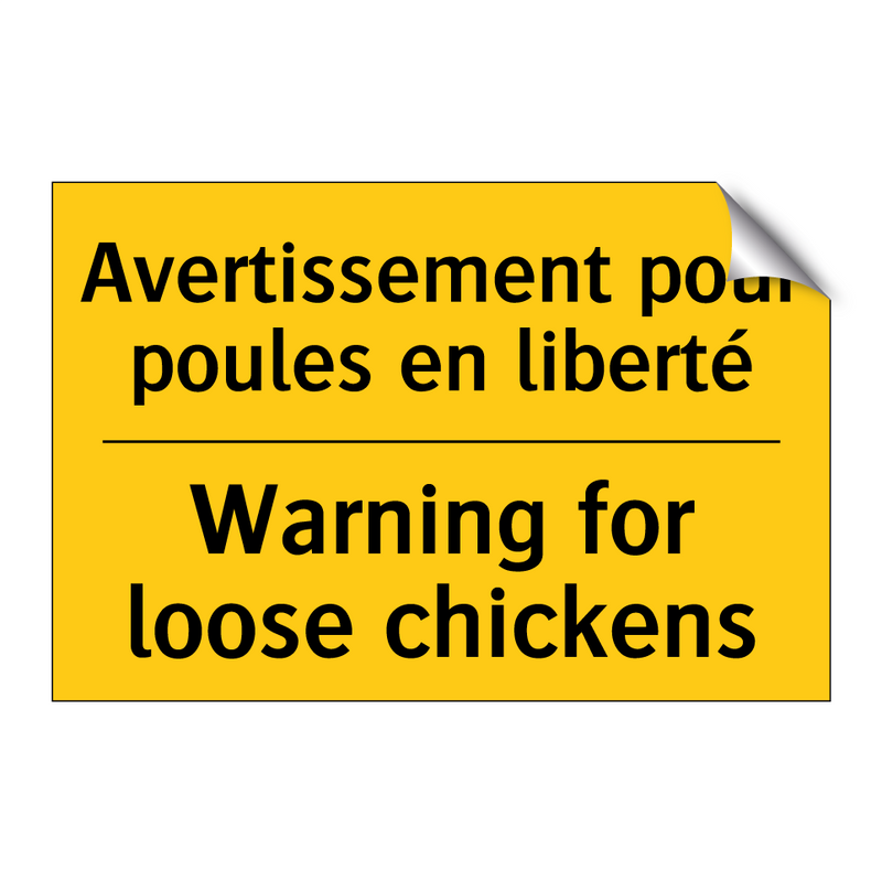 Avertissement pour poules en liberté /.../ - Warning for loose chickens