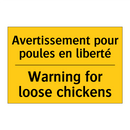 Avertissement pour poules en liberté /.../ - Warning for loose chickens