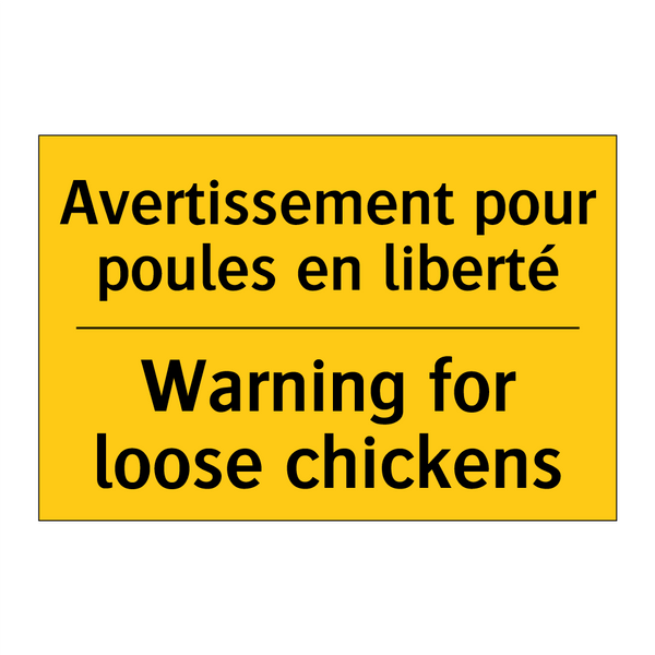 Avertissement pour poules en liberté /.../ - Warning for loose chickens