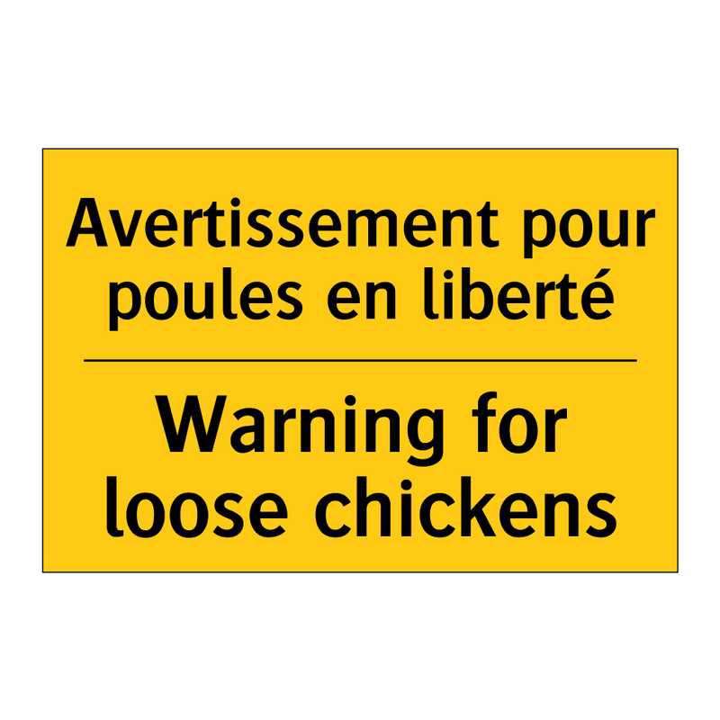 Avertissement pour poules en liberté /.../ - Warning for loose chickens