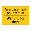 Avertissement pour requin - Warning for shark