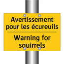 Avertissement pour les écureuils /.../ - Warning for squirrels