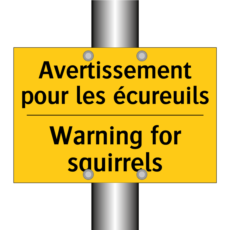 Avertissement pour les écureuils /.../ - Warning for squirrels