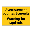 Avertissement pour les écureuils /.../ - Warning for squirrels