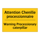 Attention Chenille processionnaire /.../ - Warning Processionary caterpillar /.../
