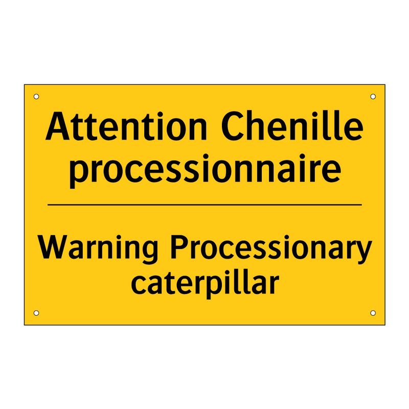 Attention Chenille processionnaire /.../ - Warning Processionary caterpillar /.../