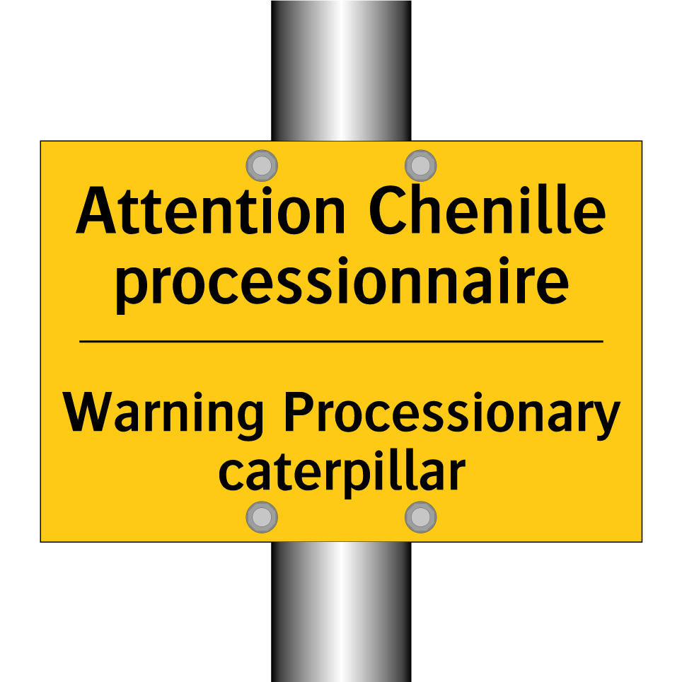 Attention Chenille processionnaire /.../ - Warning Processionary caterpillar /.../