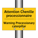 Attention Chenille processionnaire /.../ - Warning Processionary caterpillar /.../