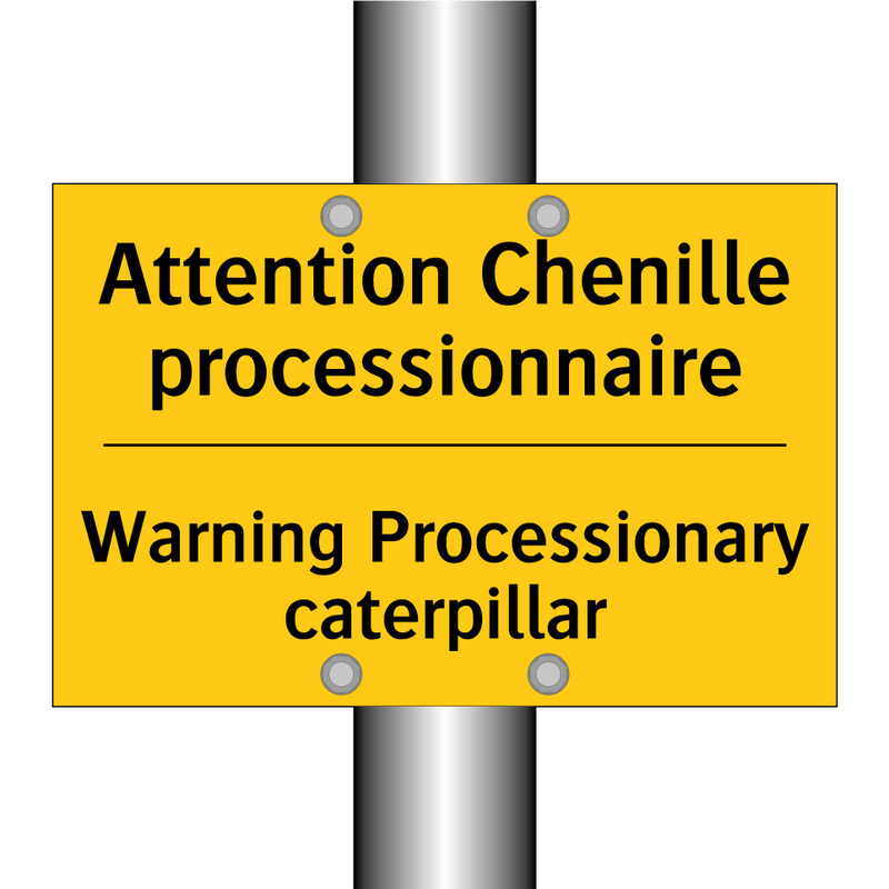 Attention Chenille processionnaire /.../ - Warning Processionary caterpillar /.../
