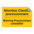Attention Chenille processionnaire /.../ - Warning Processionary caterpillar /.../