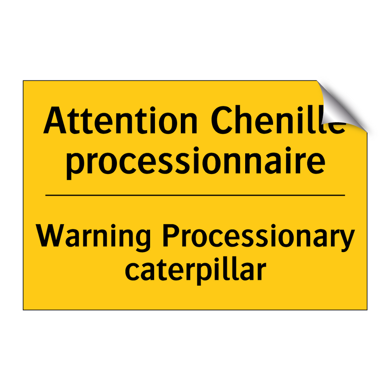 Attention Chenille processionnaire /.../ - Warning Processionary caterpillar /.../