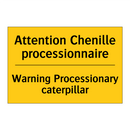 Attention Chenille processionnaire /.../ - Warning Processionary caterpillar /.../