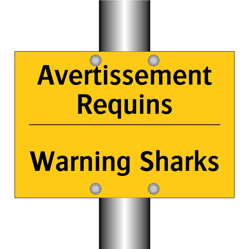 Avertissement Requins - Warning Sharks
