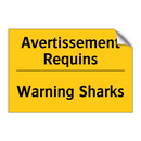 Avertissement Requins - Warning Sharks