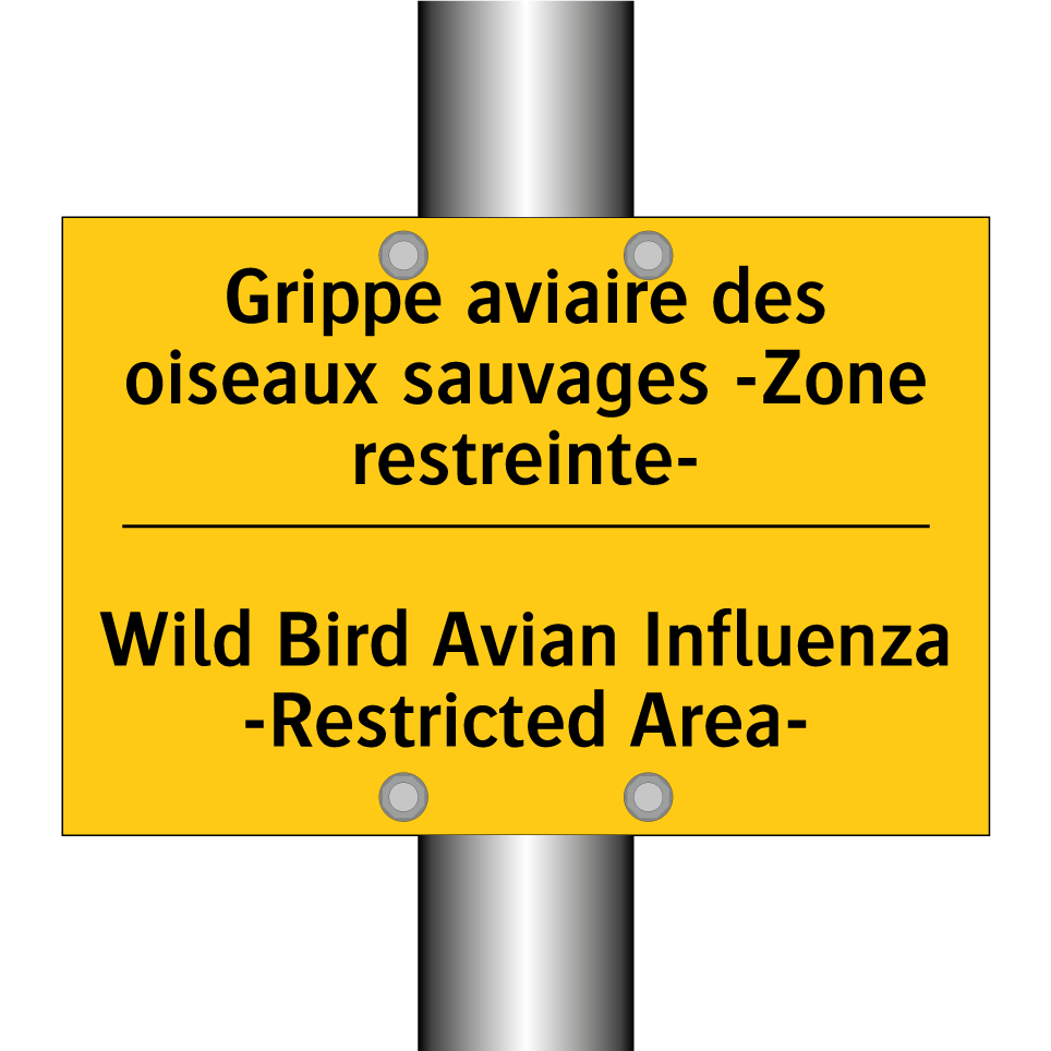 Grippe aviaire des oiseaux sauvages  /.../ - Wild Bird Avian Influenza -Restricted  /.../