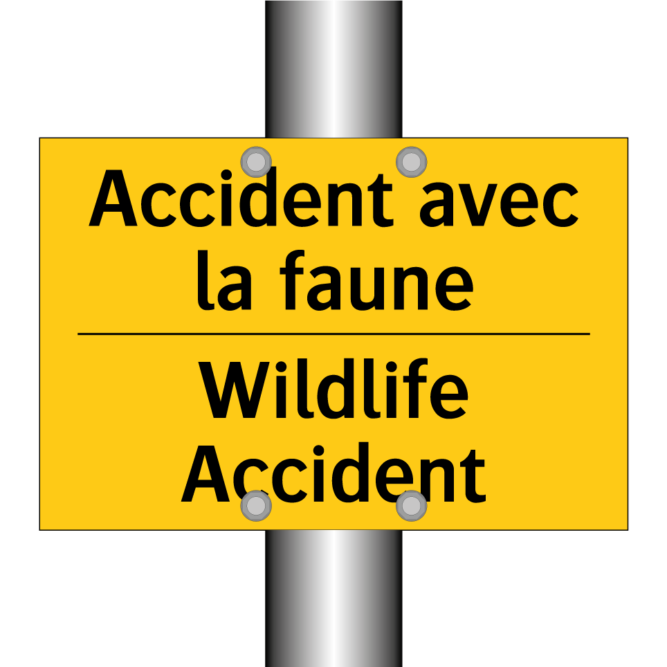 Accident avec la faune - Wildlife Accident