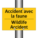 Accident avec la faune - Wildlife Accident