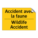 Accident avec la faune - Wildlife Accident