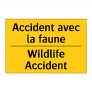 Accident avec la faune - Wildlife Accident