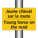 Jeune cheval sur la route - Young horse on the road