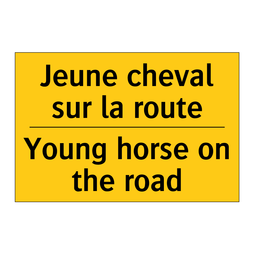 Jeune cheval sur la route - Young horse on the road
