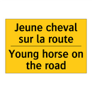 Jeune cheval sur la route - Young horse on the road