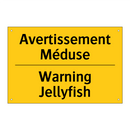 Avertissement Méduse - Warning Jellyfish