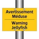 Avertissement Méduse - Warning Jellyfish
