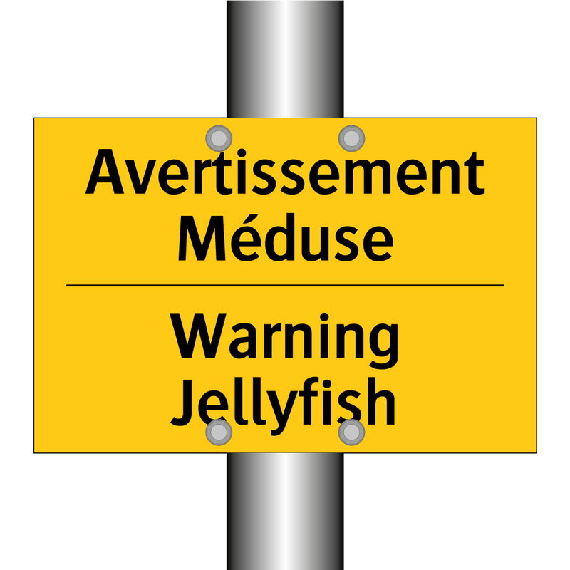 Avertissement Méduse - Warning Jellyfish