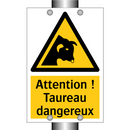 Attention ! Taureau dangereux