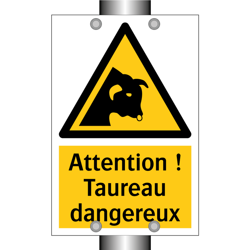 Attention ! Taureau dangereux