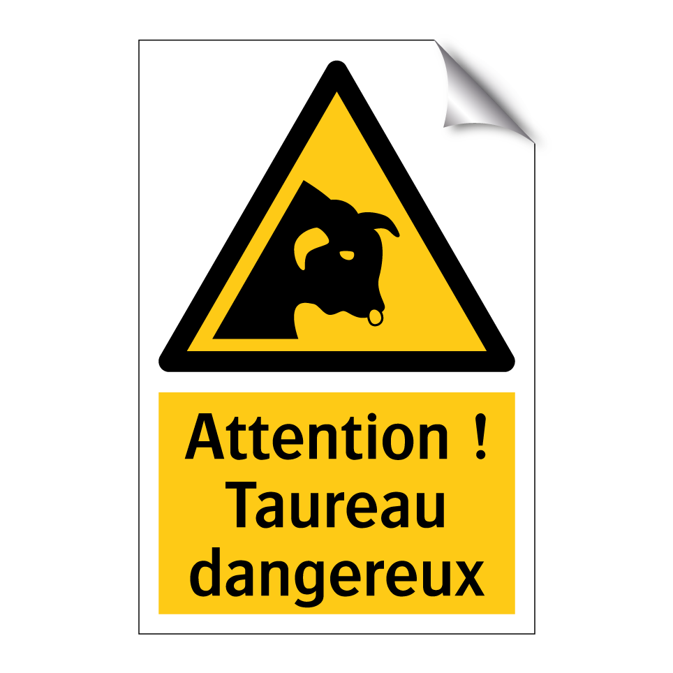 Attention ! Taureau dangereux