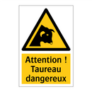 Attention ! Taureau dangereux