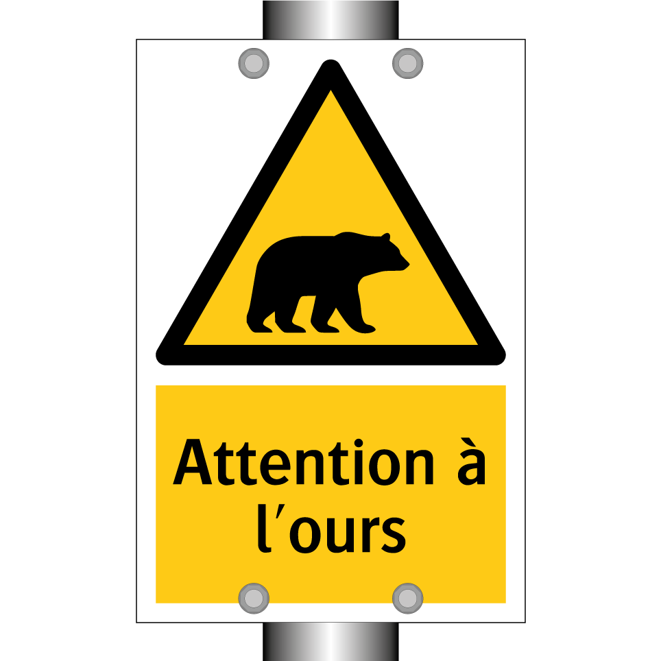 Attention à l'ours