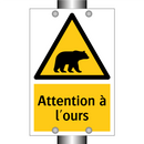 Attention à l'ours