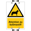 Attention au bullmastiff