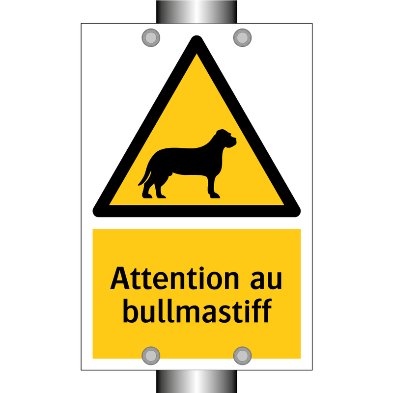 Attention au bullmastiff