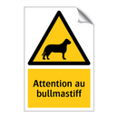 Attention au bullmastiff