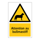 Attention au bullmastiff