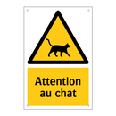 Attention au chat