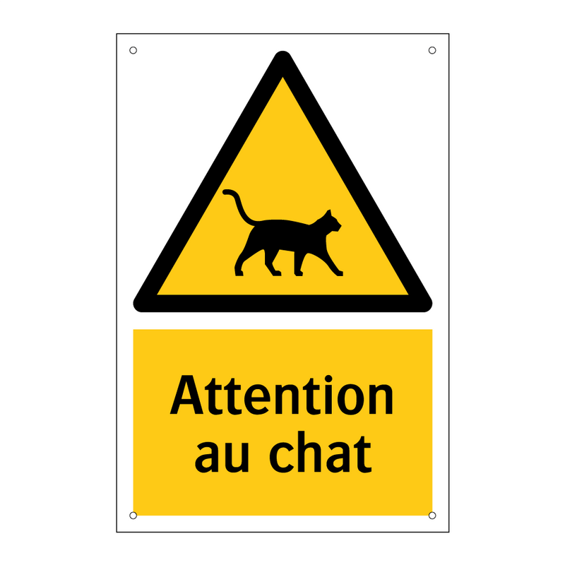 Attention au chat