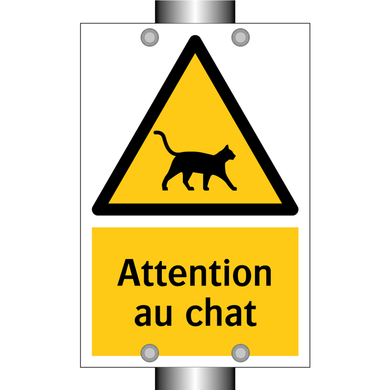 Attention au chat