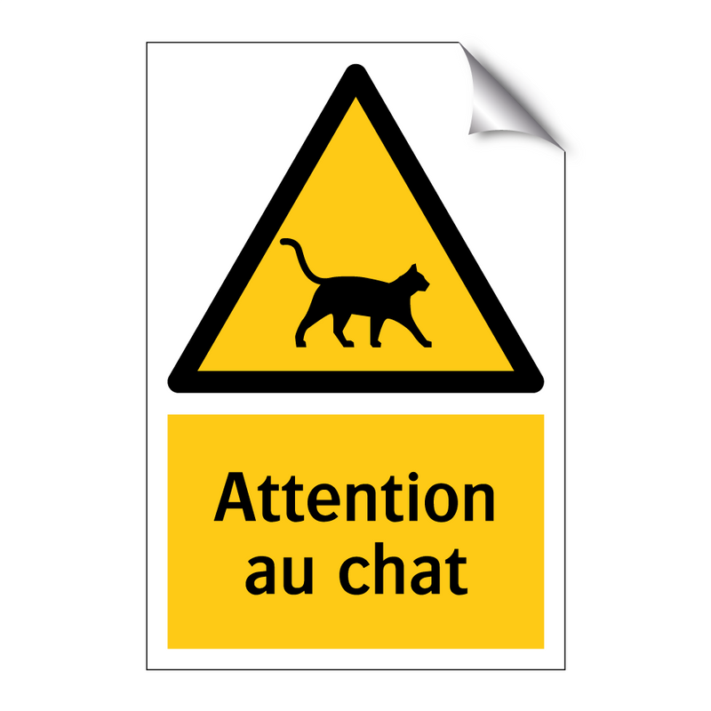 Attention au chat