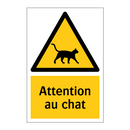 Attention au chat