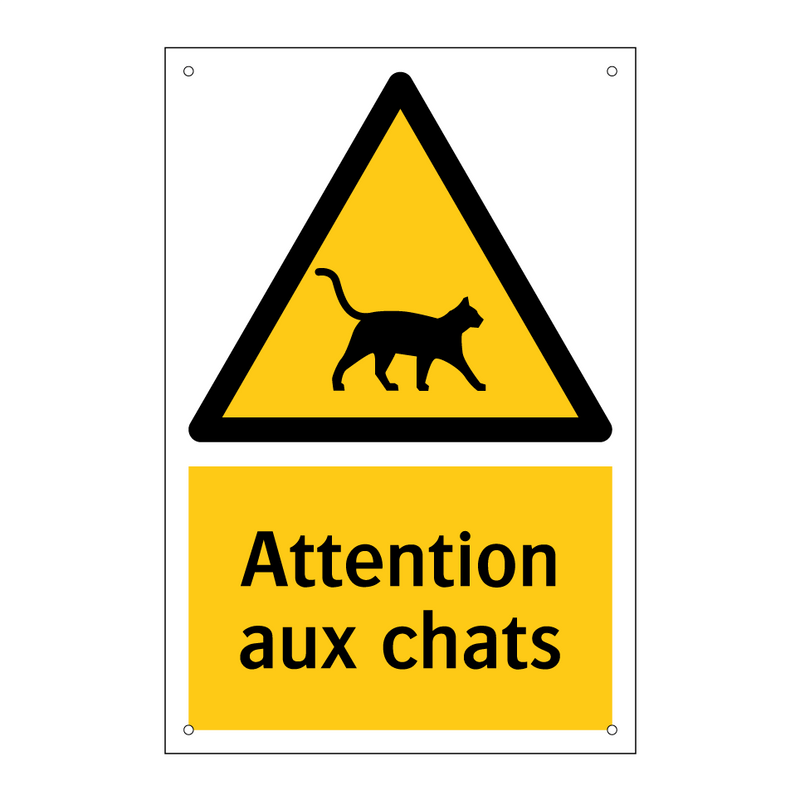 Attention aux chats