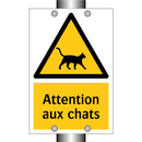Attention aux chats