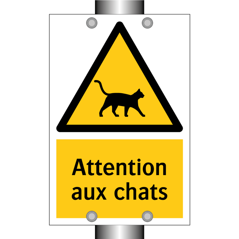 Attention aux chats
